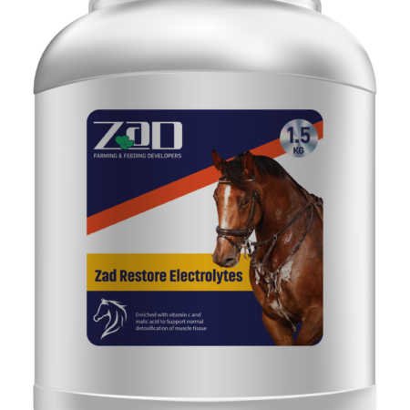 ZAD Restore Electrolytes